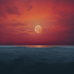 End Of Time