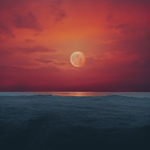 End Of Time