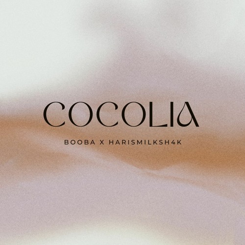 Cocolia Feat Booba (a la fin)