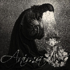 amina