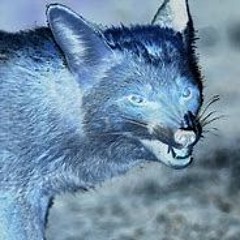 RjK - Summer Song - RUFF