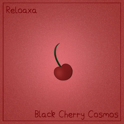 Black Cherry Cosmos