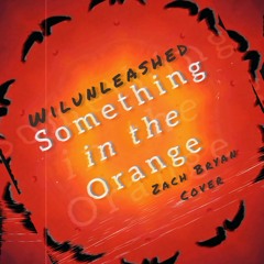 Something In The Orange