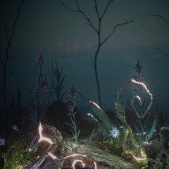 lofi deep house🦚🪐🌑🐚