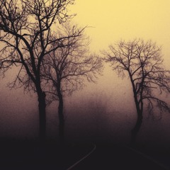 Possessive Overthinking