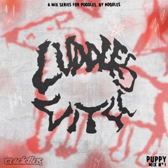 Cuddles with.. puppy Nº1