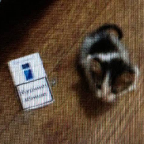 heroin