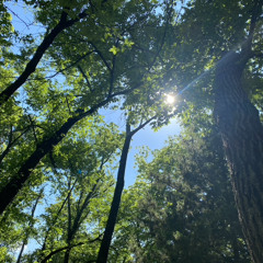 Nathan Daniel - Contractual Dues