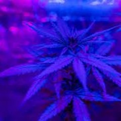 Mix Dj Jxc L Herbe Bleu juillet 2010 vinyl/vint@ge  trance des année 90