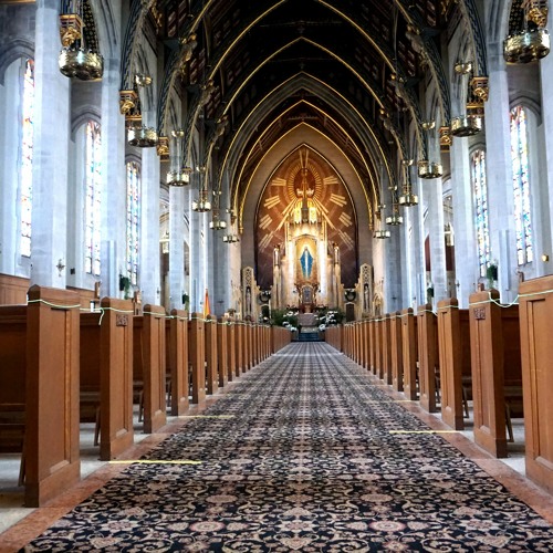 Light Of Christ (Free Flow)