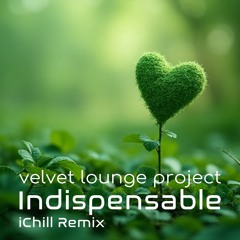 Indispensable (Ichill Remix)