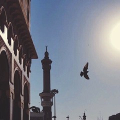 وما لنا ألا نتوكل على الله وقد هدانا سبلنا -القارئ إسلام صبحي