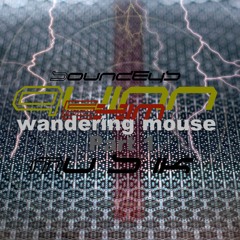 Wandering Mouse Part 1
