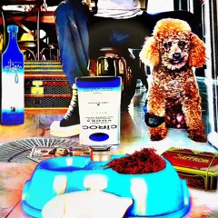 Faye Webster X Rich Boy - Lifetime of Cadillacs