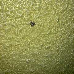 unnamed set 05/30/2025