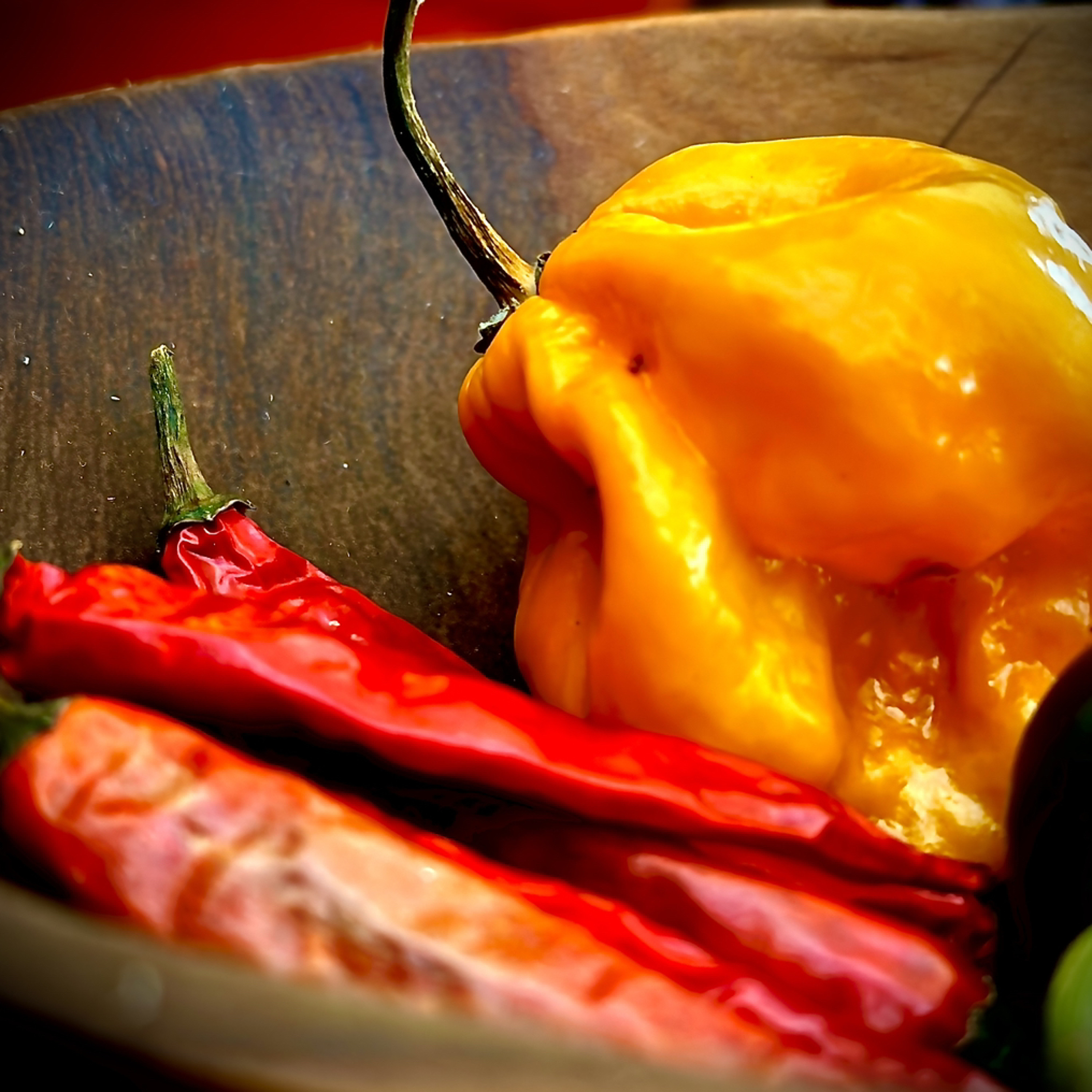 REC - 2023 028PA spice