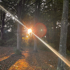 KODIAK BEATZ  LOOPUS