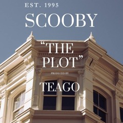 The Plot