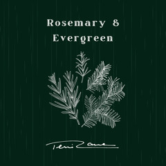 Teni Rane Rosemary & Evergreen