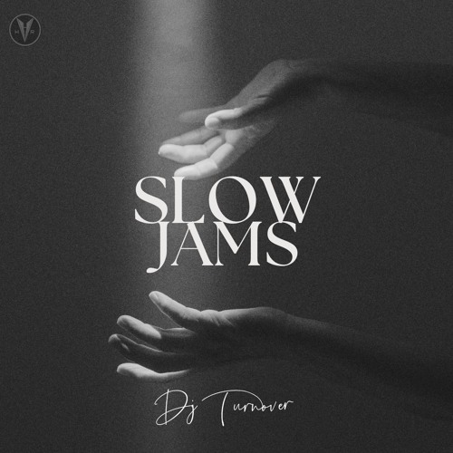 SLOW JAMS 2024 |DJ TURNOVER|