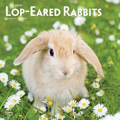 [Read] EPUB KINDLE PDF EBOOK Lop Eared Rabbits 2019 12 x 12 Inch Monthly Square Wall Calendar, Domes
