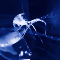 seams bust (prod. ermaii)