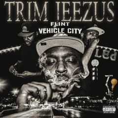 Trim Jeezus feat. Louie Ray - Somn Idk