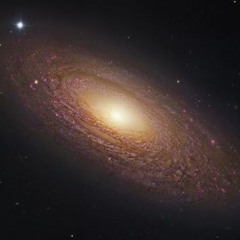 Ambient 51