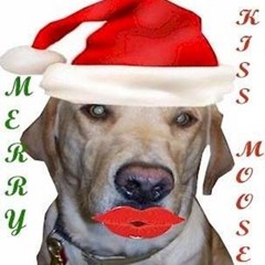 Fleas On My Dad  (a Christmas cover parody)