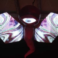 // Sea-Watch & Friends Solitour // Amt Für Alle Lübeck // 2023