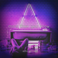 More Than You Know - Axwell /\ Ingrosso [echo remix]