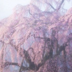 Vagabond.wav