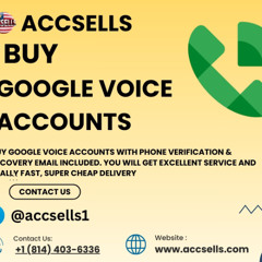 Buy Google Voice Accounts (Bulk & Pva)