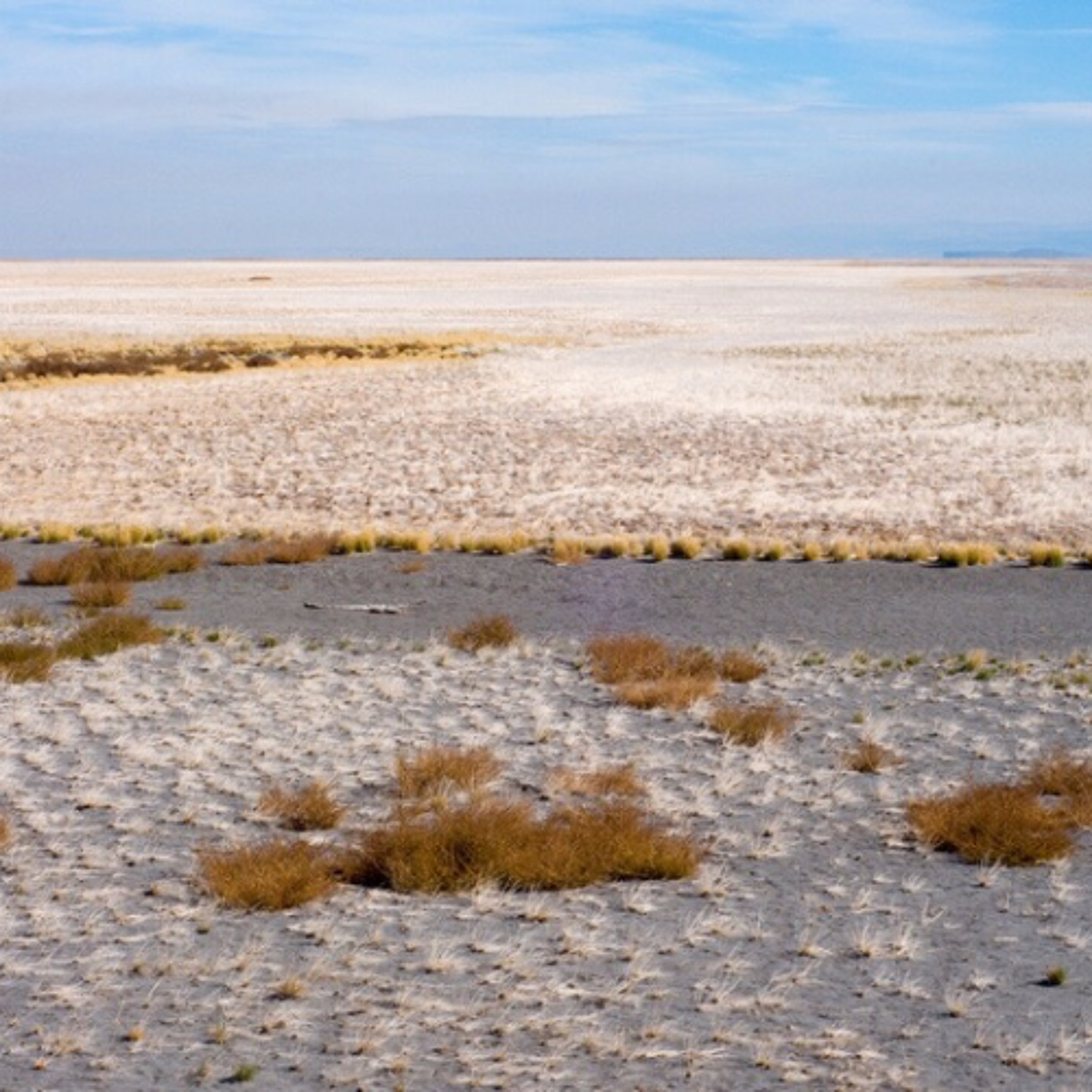 CLIMATE BREAKDOWN Reports: Thirsty Skies  &  the Drying Up of Inland Seas… episode artwork