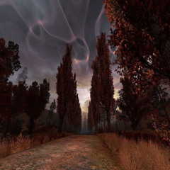 shindao - мысли