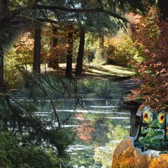 autumn is beautiful