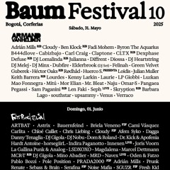 Baum Festival 10 - Mixes