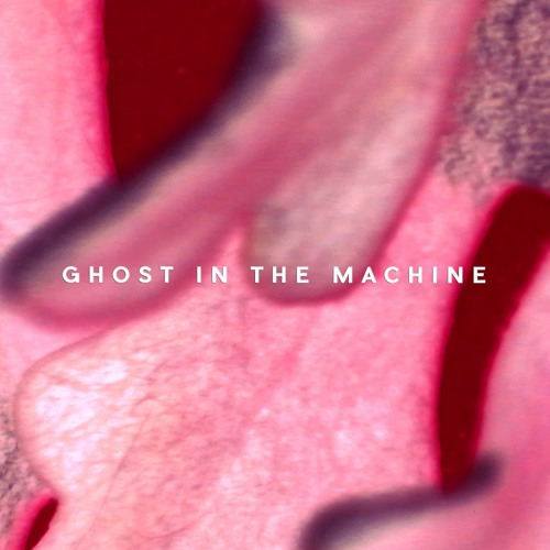 Ghost in the Machine - Perc Trax | Intercell October Series 2020