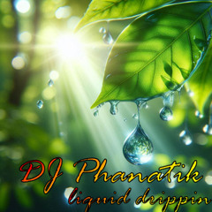 Dj Phanatik - Liquid Drippin