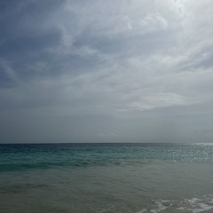 THE VAULT 🕺🏻🕺🏻🕺🏻