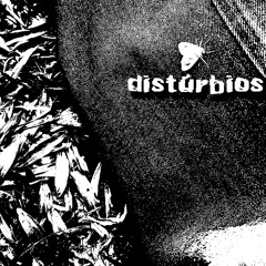 disturbios