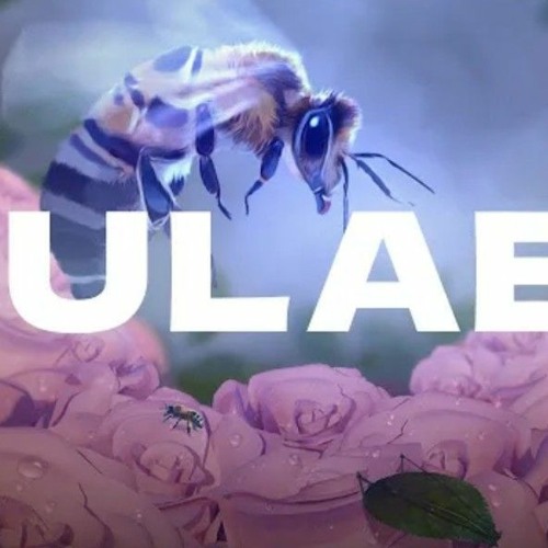 GULABO  Arpit Bala BHAPPA AOD DO Official Visualiser.mp3