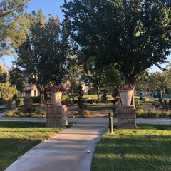 m-01: wednesday in the park (02.01.2021)