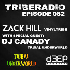 Copy of ZΔCK HILL (VinylTribe)