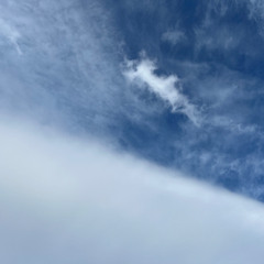 Pienen pieni groteski