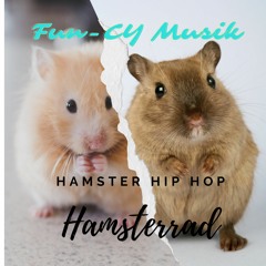 Hamsterrad (Radiomix THE BEAT)