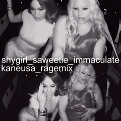 immaculate_kaneusa_ragemix_remix