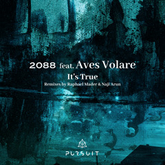 PREMIERE: 2088 feat. Aves Volare - It's True (Raphael Mader Remix)