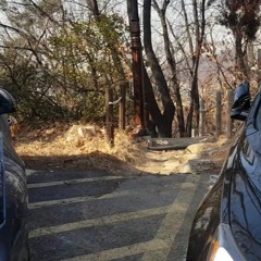 라임스톤(LimeStone)-어쩌면 알고 있었지만 모른척 지나쳐버린 길이 많아