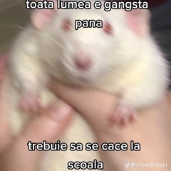 😮